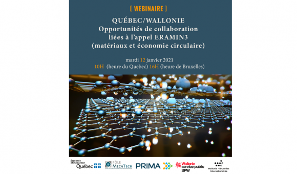 Webinaire
