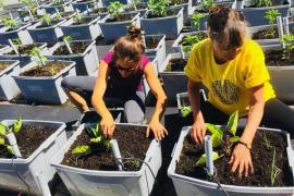 © Laboratoire sur l’agriculture urbaine (AU/LAB)
